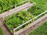 Homemade Raised Vegetable Garden Beds