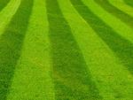 Dark And Light Green Pattern From Lawn Mowing