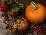 Thanksgiving Decor Including Pumpkins And Berries