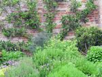 A Victorian Style Herb Garden Full Of Plants