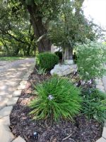 Xeriscape Garden Design With Mulch  Rocks  And Plants